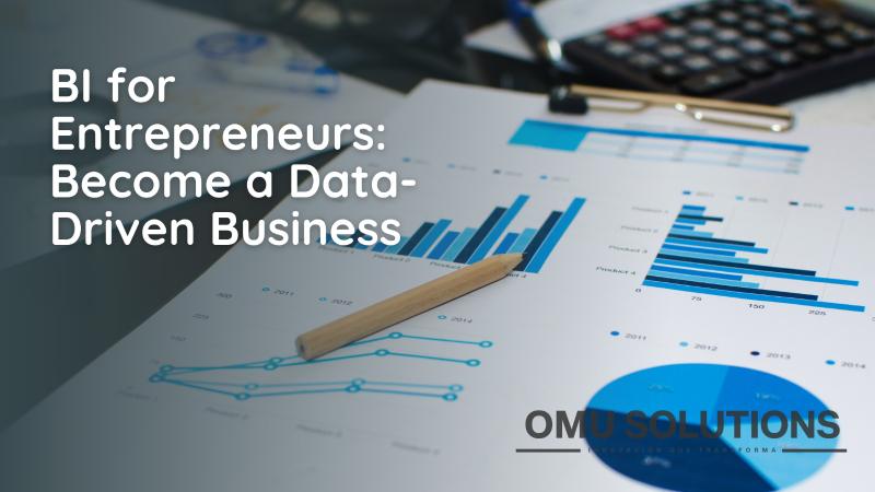 BI for Entrepreneurs: Become a Data-Driven Business
